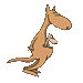 Kangourou